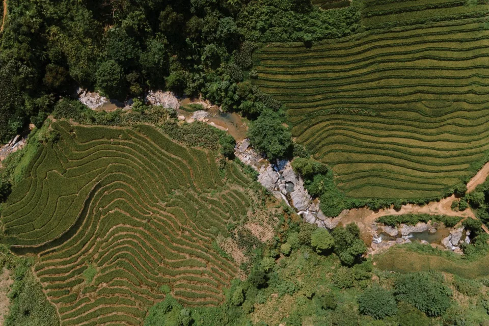 Kho gạo của Trương Hữu Bửu